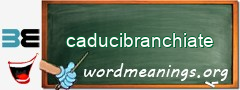 WordMeaning blackboard for caducibranchiate